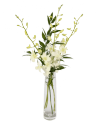 Floriday Flowers