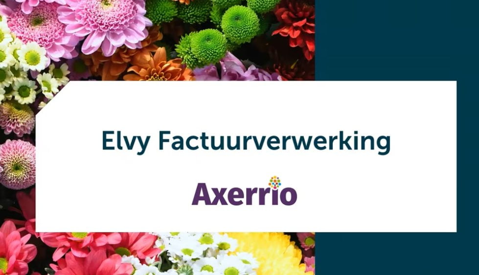 Elvy-Axerrio-Webinar-Factuurverwerking