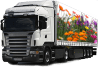 Flower-Truck-Axerrio-Transport